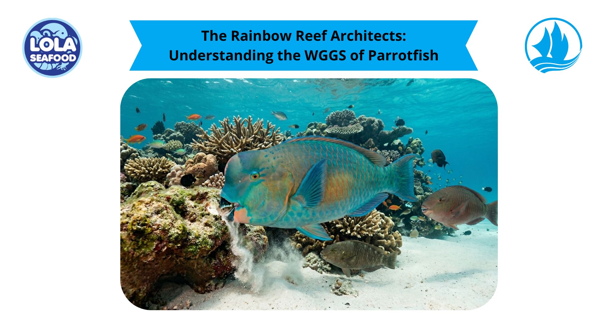 The Rainbow Reef Architects: Understanding the WGGS of Parrotfish
